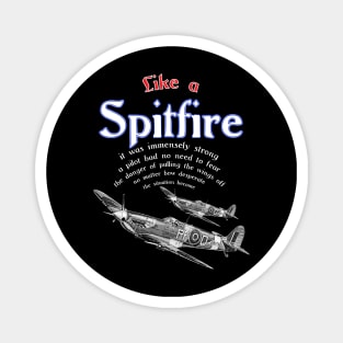 Spitfire Aircraft RAF Veteran Pilot Saying WW2 the So British WarBird Magnet